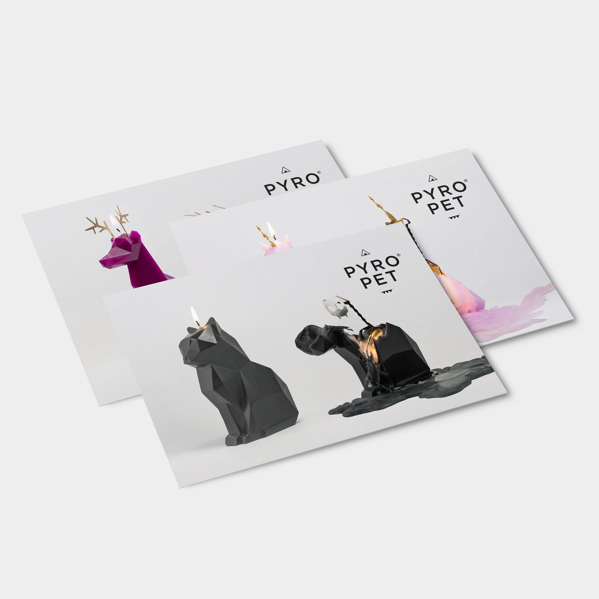 Set of 3 Pyropet Display Cards