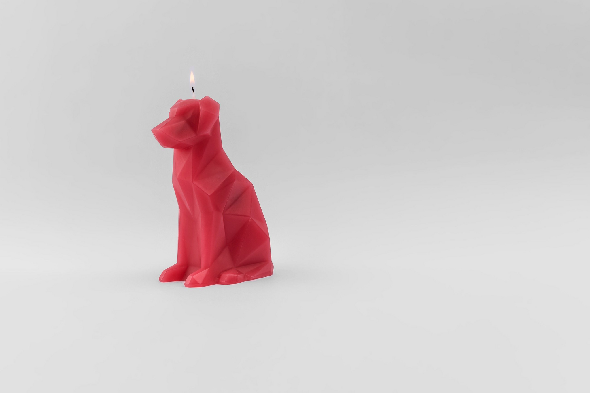 PyroPet Voffi Berry
